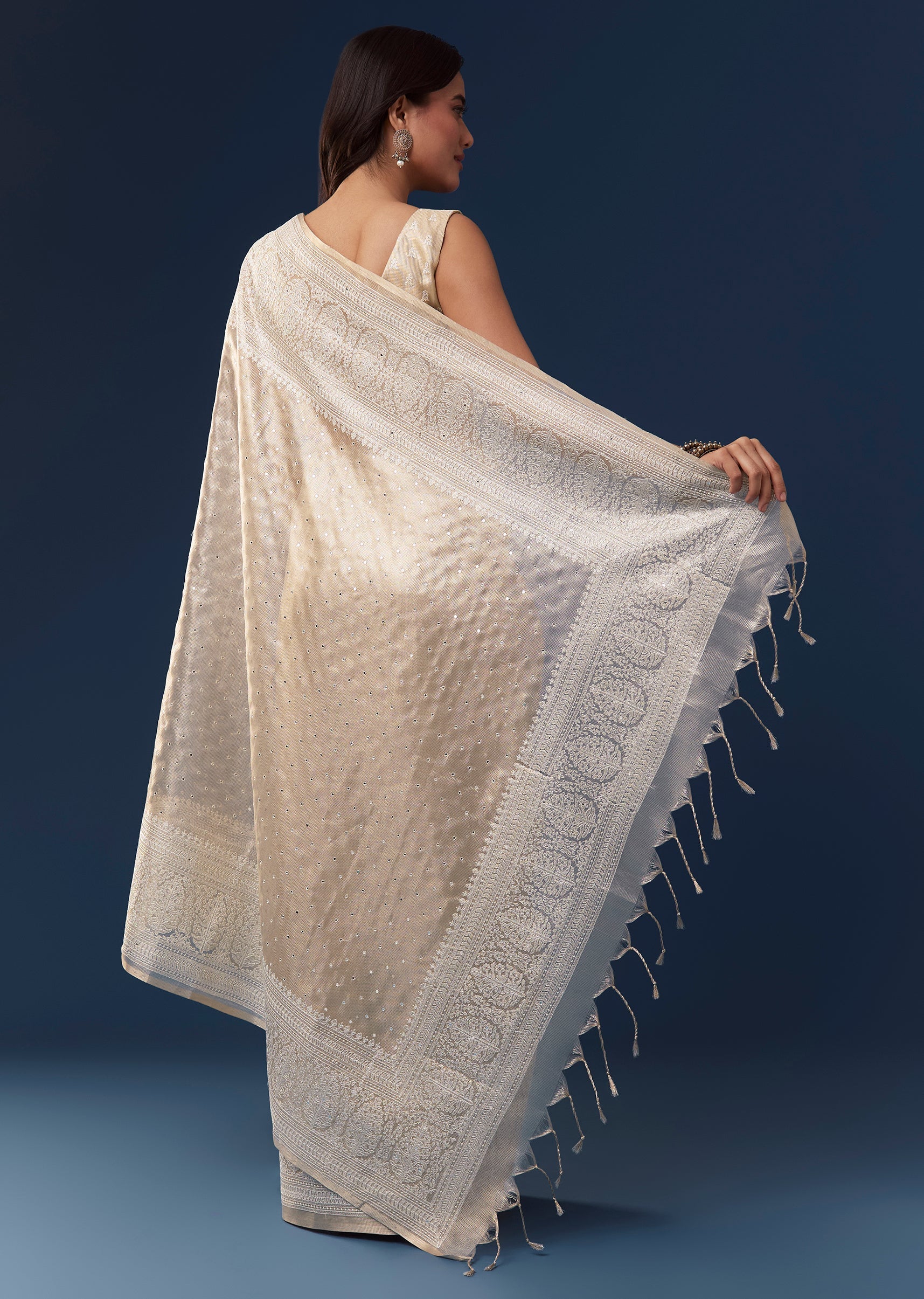 Beige Tissue Saree With Resham Thread Border And Mirror Work
