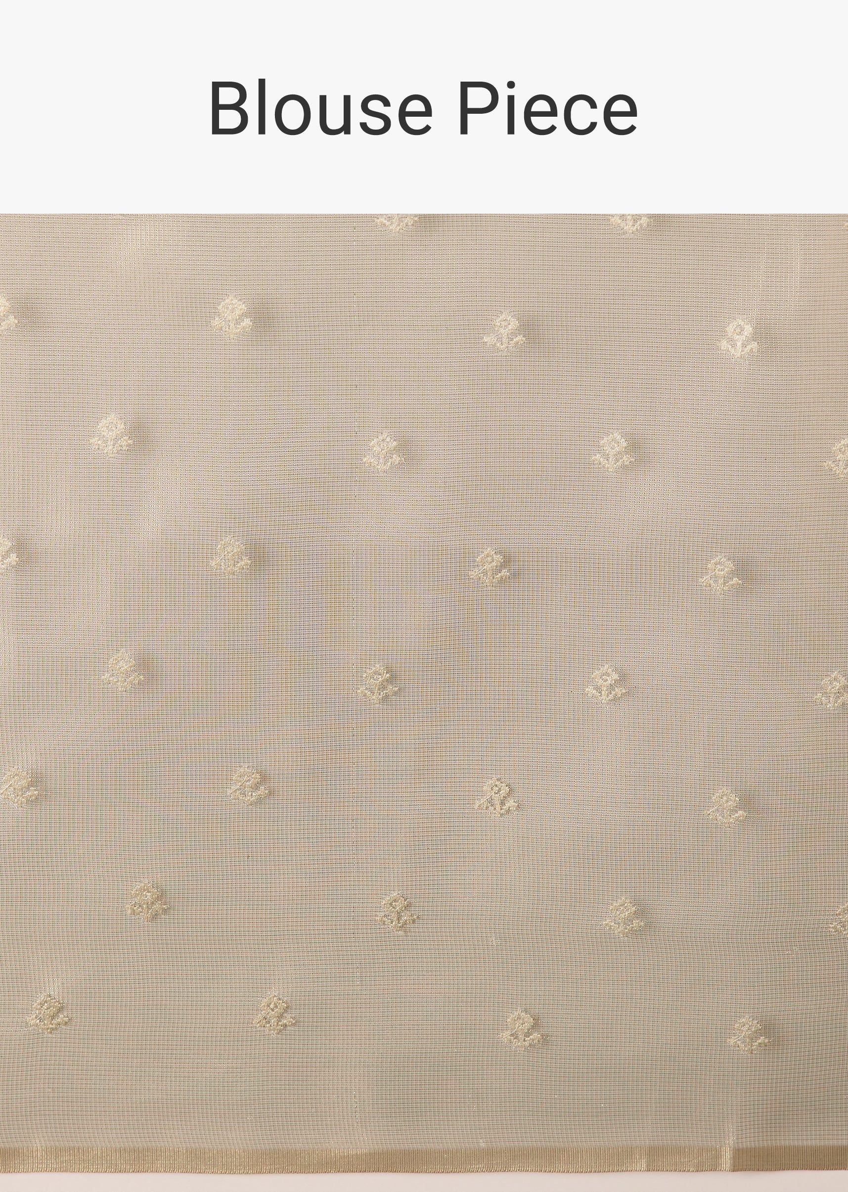 Beige Tissue Saree With Resham Thread Border And Mirror Work