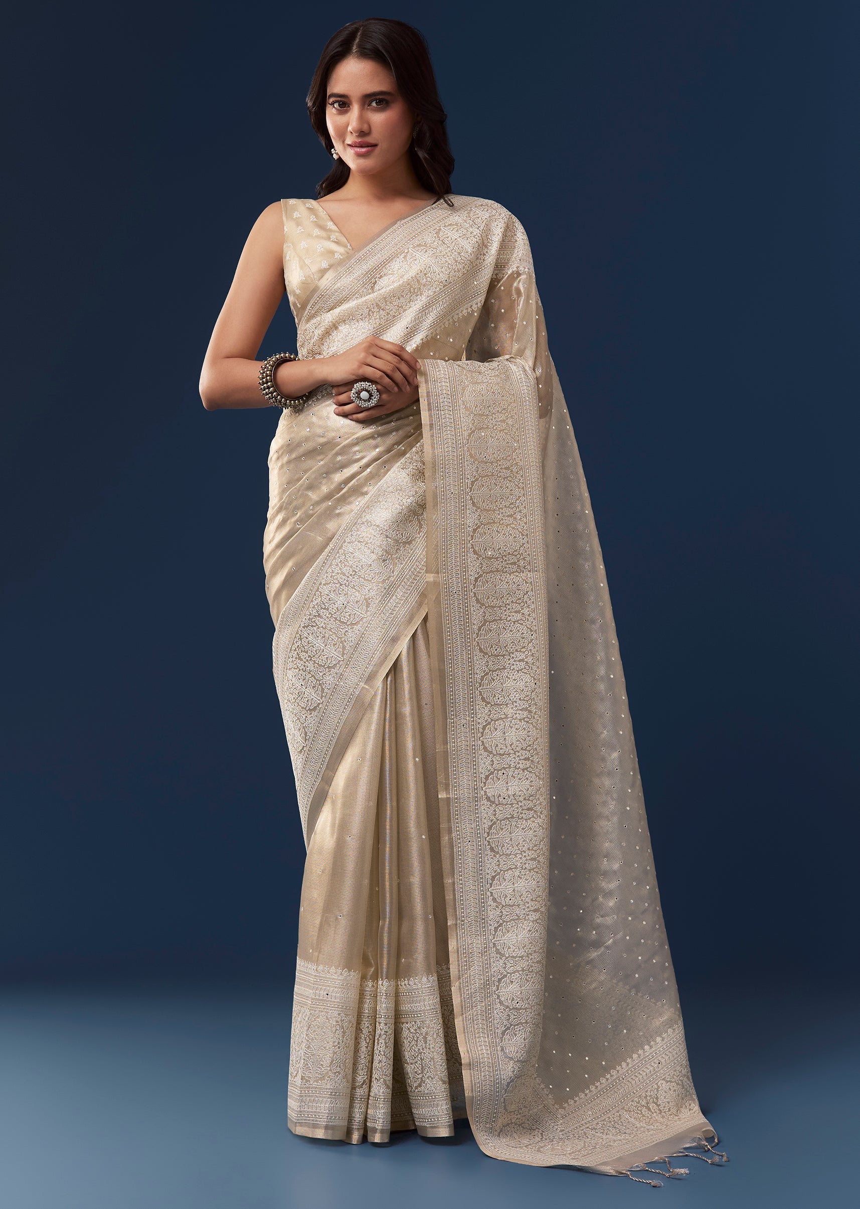 Beige Tissue Saree With Resham Thread Border And Mirror Work