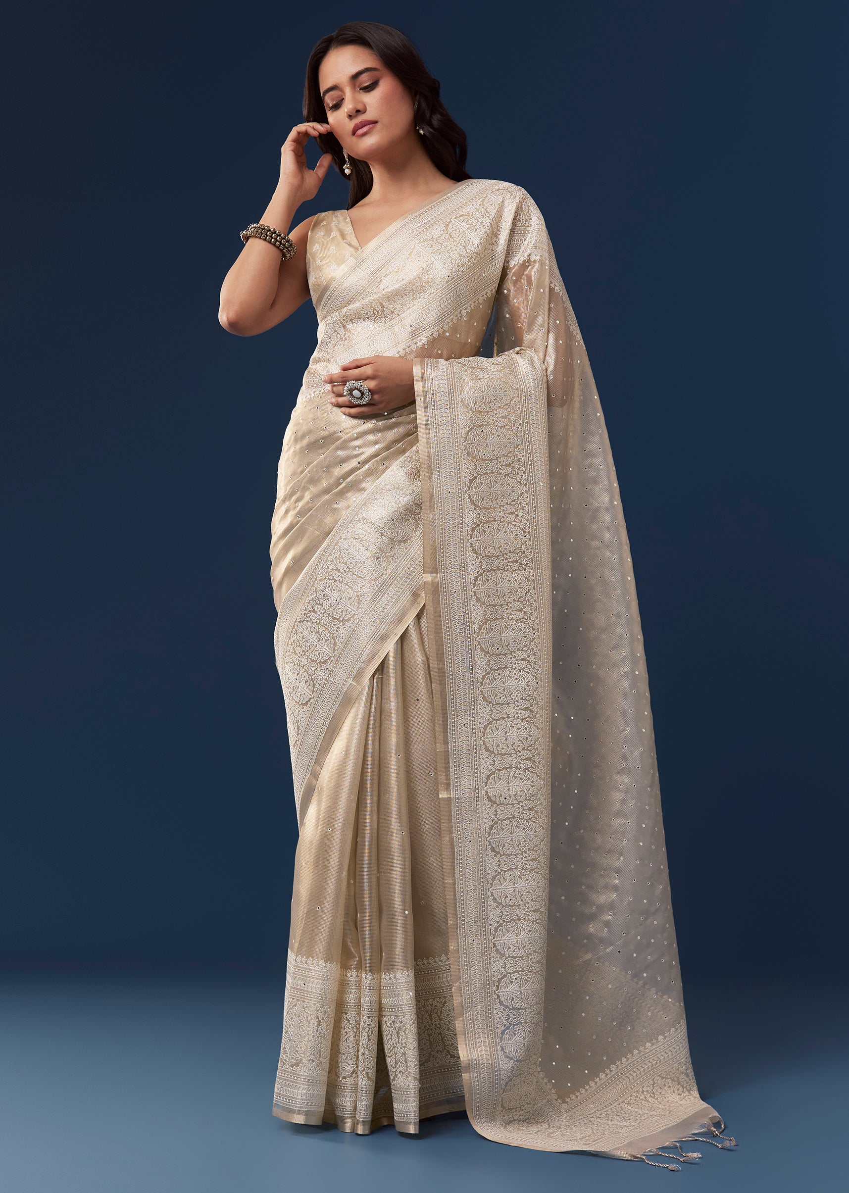 Beige Tissue Saree With Resham Thread Border And Mirror Work