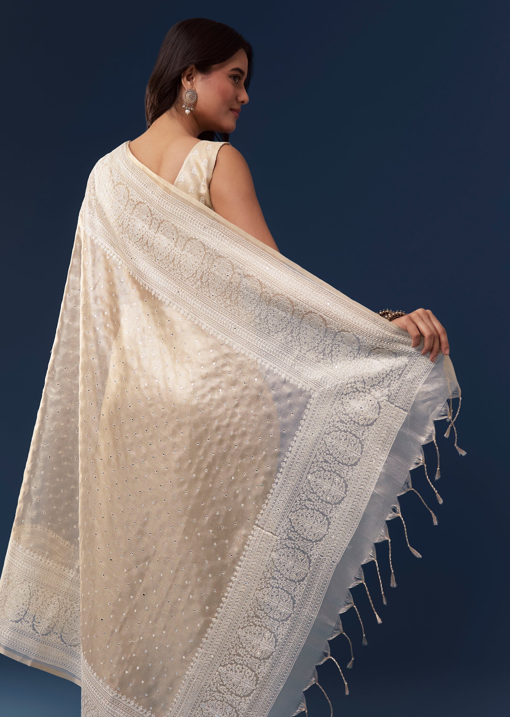 Beige Tissue Saree With Resham Thread Border And Mirror Work