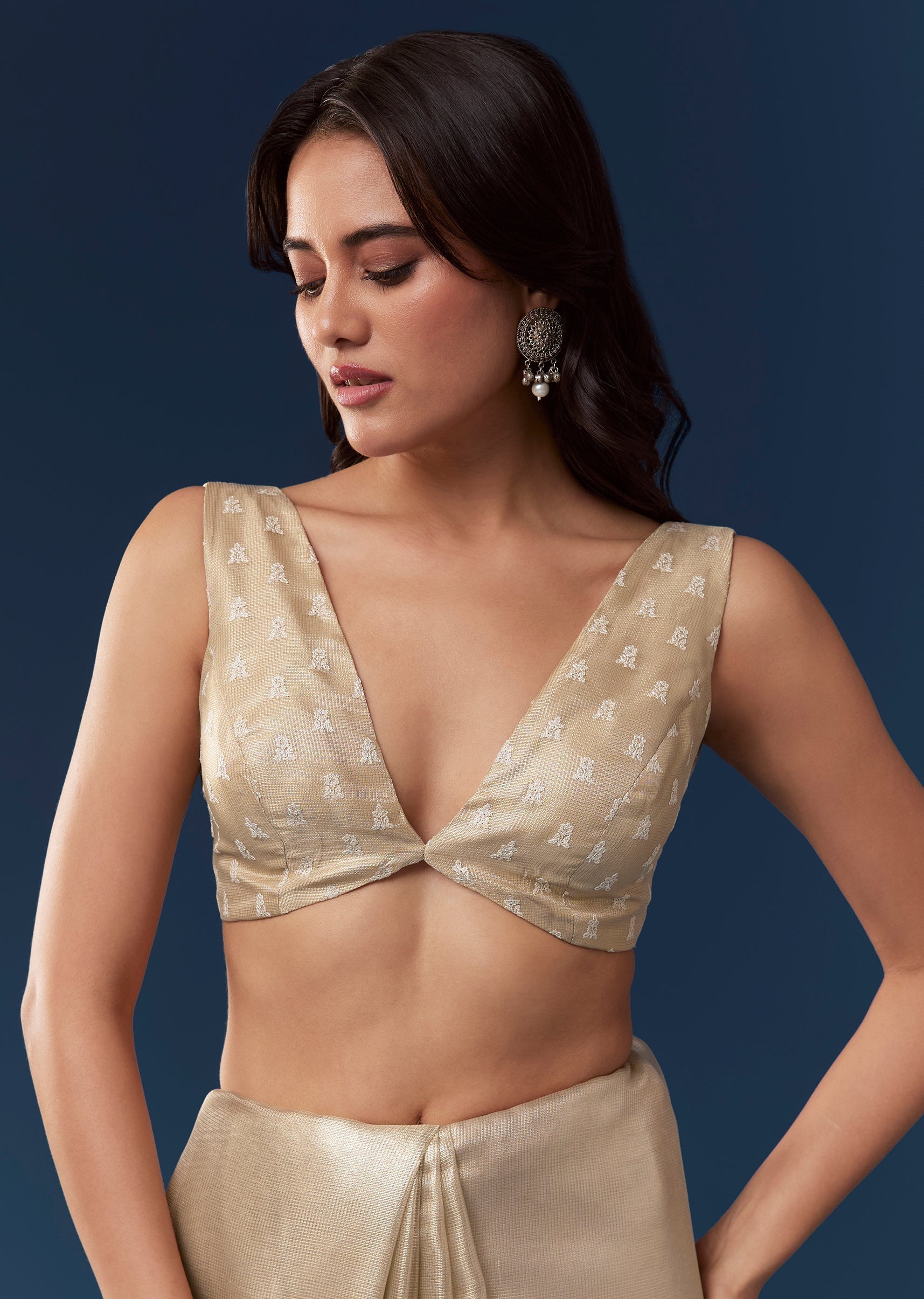 Beige Tissue Saree With Resham Thread Border And Mirror Work