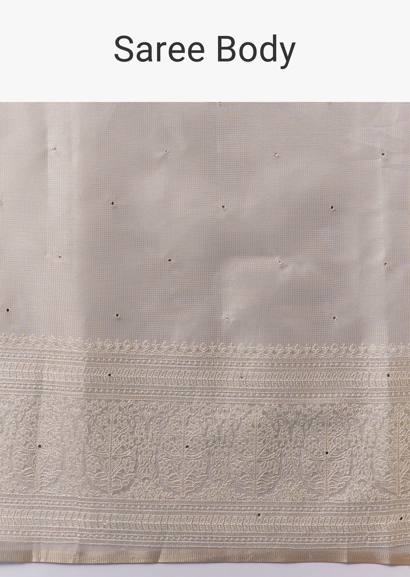 Beige Tissue Saree With Resham Thread Border And Mirror Work